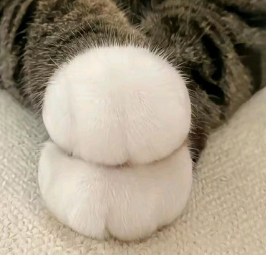 Portrait of Hyndoman